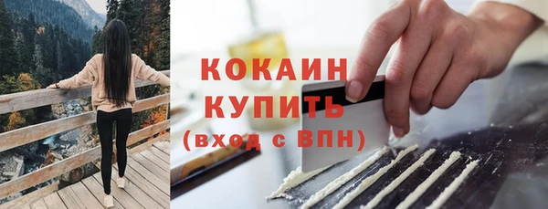 соль ск Богородицк