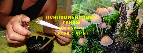 соль ск Богородицк