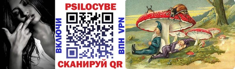 Купить  Малмыж  Галлюциногенные грибы мицелий 